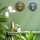 Set of Two Lion Face Wall Hangings